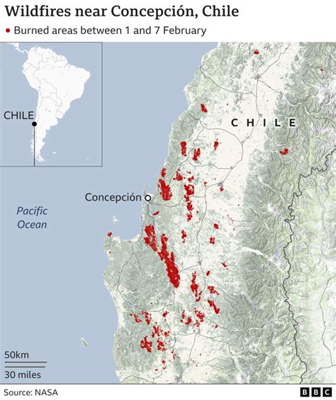 Chile forest fires: Heatwave puts new regions at risk - BBC News