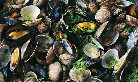 Nigel Slater's clam and mussel recipes. Try mussels and clams cooked ...