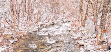 Premium Photo | Lake and river in the cold weather with snow