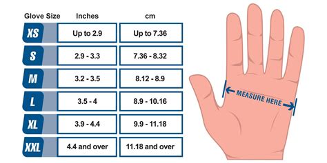 Glove Size Chart | AMMEX