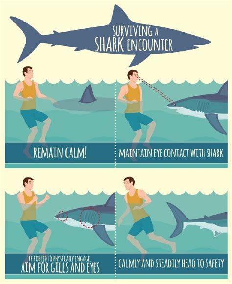 How to Avoid a Shark Attack