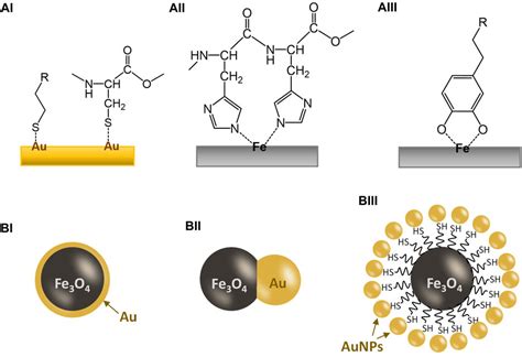 Frontiers | Gold-iron oxide (Au/Fe3O4) magnetic nanoparticles as the ...