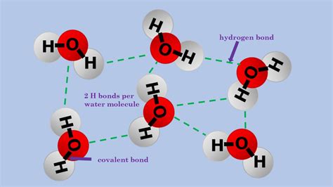 Water Molecules And Hydrogen Bonding Diagram