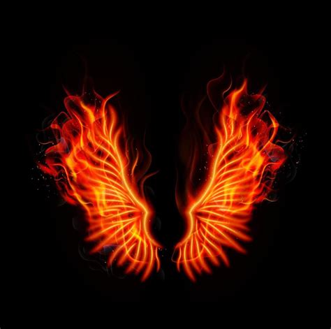 Fire burning wings 5901648 Vector Art at Vecteezy