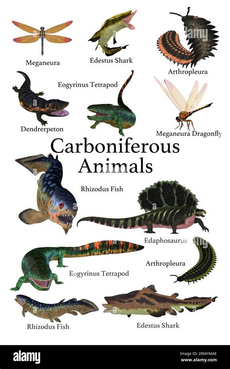 Carboniferous Animals - A collection of animals, fish, insects that ...