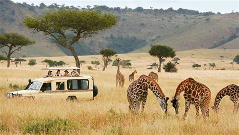 How to Plan an African Safari in the time of COVID 19