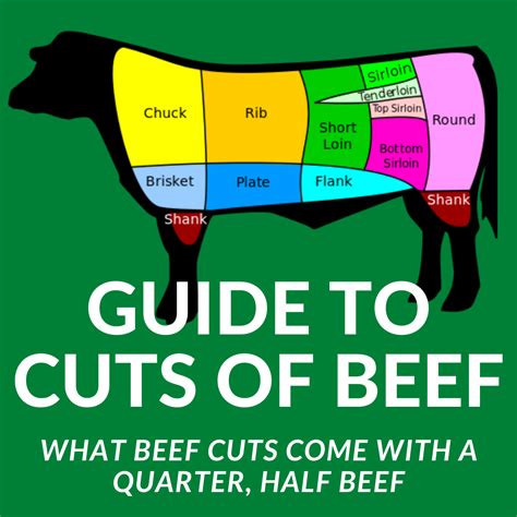 A Guide To All The Cuts Of Beef, 42% OFF