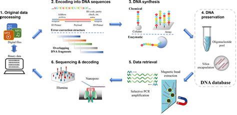 Schematic diagram of the DNA-based data storage and its operation. (1 ...