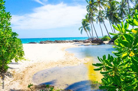 Bentota beach in Sri Lanka Stock Photo | Adobe Stock