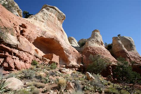 Canyons of the Ancients National Monument