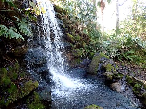 Rainbow Springs State Park and Swampy's-Florida - Obligatory Traveler