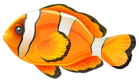 Anemone fish clipart 20 free Cliparts | Download images on Clipground 2024