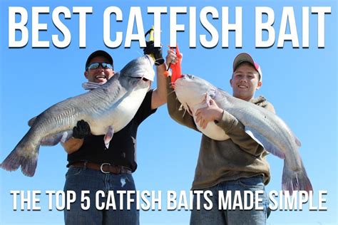 Best Catfish Bait: The Top 5 Catfish Baits Made Simple