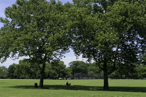 Canarsie Park : NYC Parks