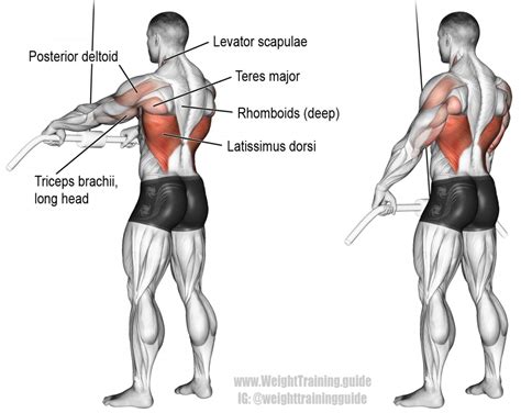 Cable straight-arm pull-down exercise instructions and video | Weight ...