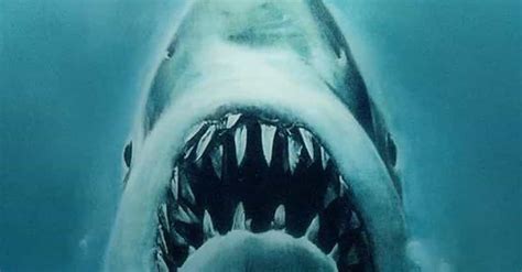 Scariest Animal Movies Ever Made | List of Animal Horror Films