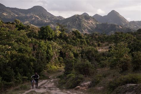 How Did Madagascar Become the World's Biggest Producer of Vanilla ...