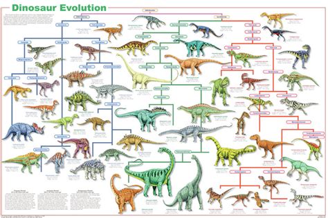 Dinosaur Classification - Forbes Paleo Club