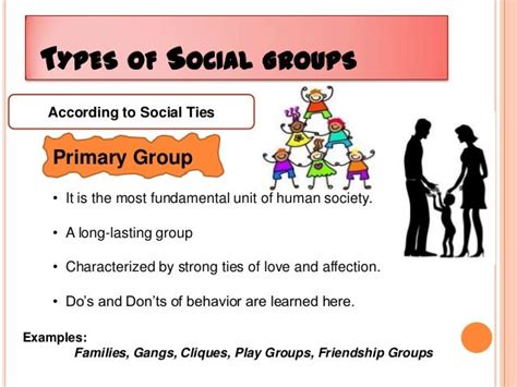 Social groups and Social organization