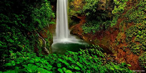 La Paz Waterfall Gardens - Waterfalls in Alajuela, Costa Rica