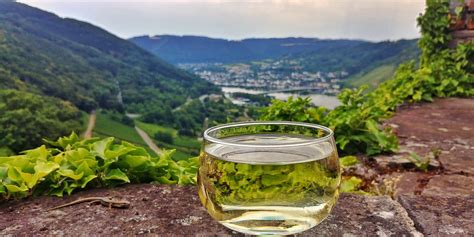 The Mosel Valley – Germany’s Most Famous Wine Region – Wine ...