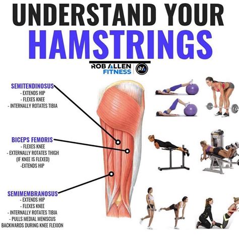 List Of Best Hamstring Strengthening Exercises For Runners For Women ...