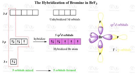 Hybridization Chemistry