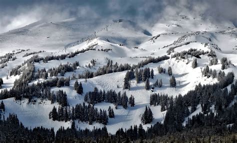 Wallpaper : trees, mountains, snow, resort, Oregon, Alps, skiing, ridge ...