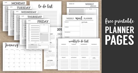 Monthly Planner Template {Printable Planner Pages} - Paper Trail Design