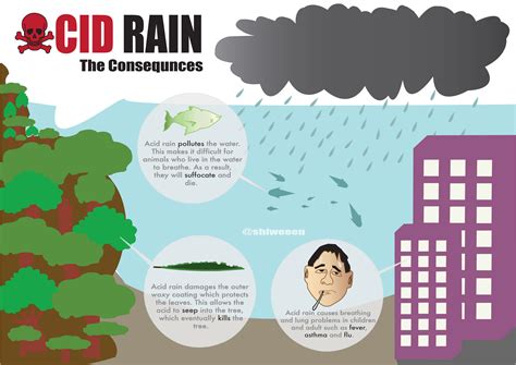 Acid Rain: The Consequences [INFOGRAPHIC] – Infographic List