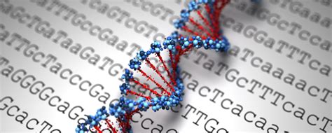 How To Design Multiplex Pcr Primer - Design Talk