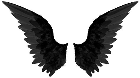 Wings PNG Transparent Images | PNG All