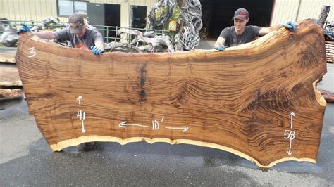 Welcome | Redwood burl, Redwood slabs, Walnut slab