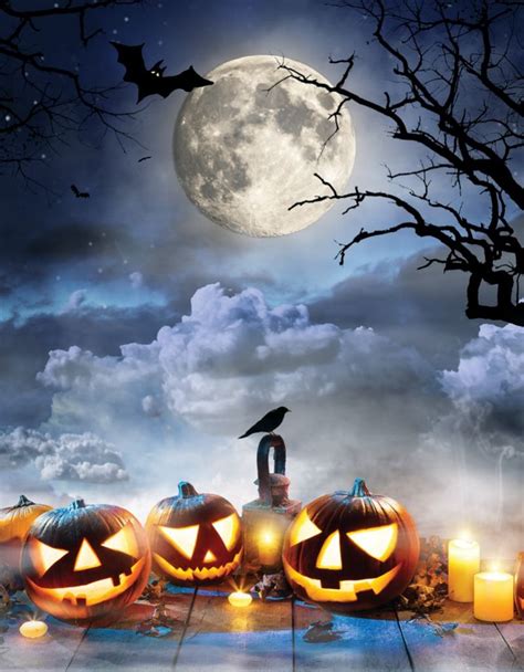 Halloween Backdrops Bat Pumpkin Lamp Photography Dark Clouds Brown Wood ...