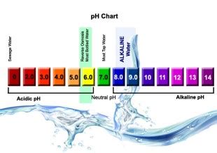 Alkaline Ionized Water vs. Alkaline Water