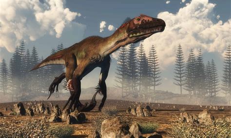 Utahraptor vs Velociraptor: Who Would Win in a Fight? - A-Z Animals