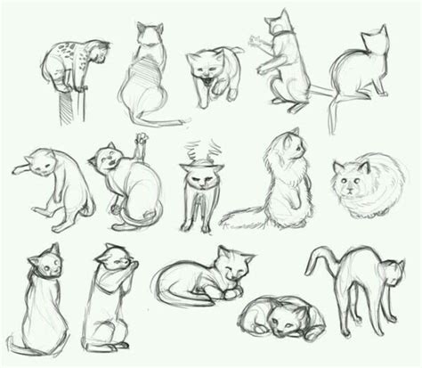 Cat pose reference | Schizzi di animali, Disegni di gatti, Disegnare ...