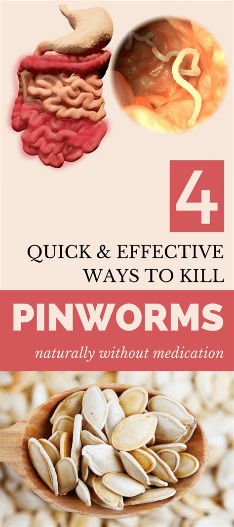 Here 4 Quick & Effective Ways To Kill Pinworms Naturally without ...