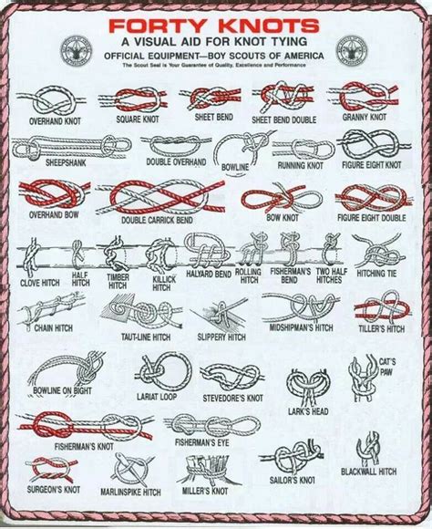 40 knots | Knots guide, Knots, Survival skills