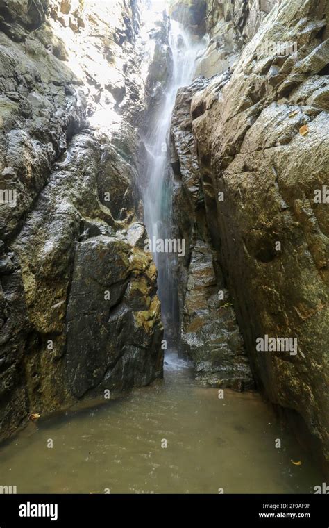 Waterfall making its way into a pond in the rainforest Stock Photo - Alamy