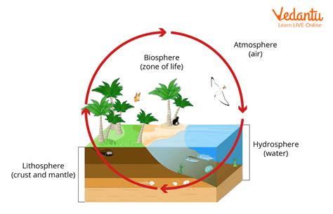 Hydrosphere Diagram For Kids