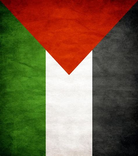 Palestina, Palestine Flag HD phone wallpaper | Pxfuel