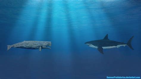 Livyatan vs Megalodon by SameerPrehistorica on DeviantArt