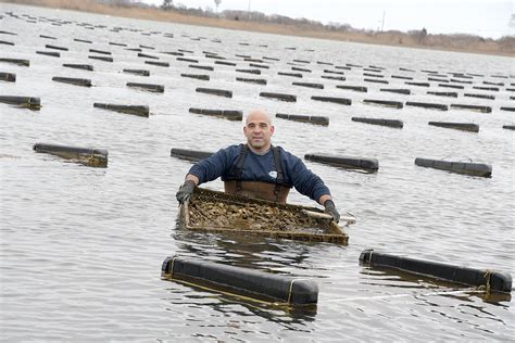 Thriving Matunuck Oyster Farm has fed offshoot businesses