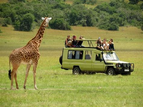 Arusha National Park Day Trip | SafariBando