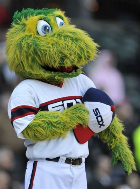 The origins of Chicago’s sports mascots | WBEZ Chicago