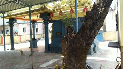 Sri Gangai Amman Temple - Chennai