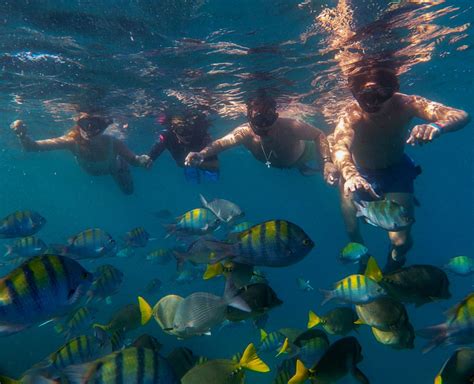 Cabo Snorkeling - Cabo Private Guide