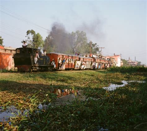 Eastern Tarai - Nepal - Tripcarta