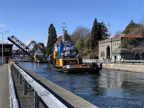 Ballard Locks - Cityscape & Urban Photos - Don - Slackwater